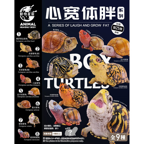【顺丰包邮】动物星球心宽体胖系列第25弹陆龟箱龟高端爬宠手办