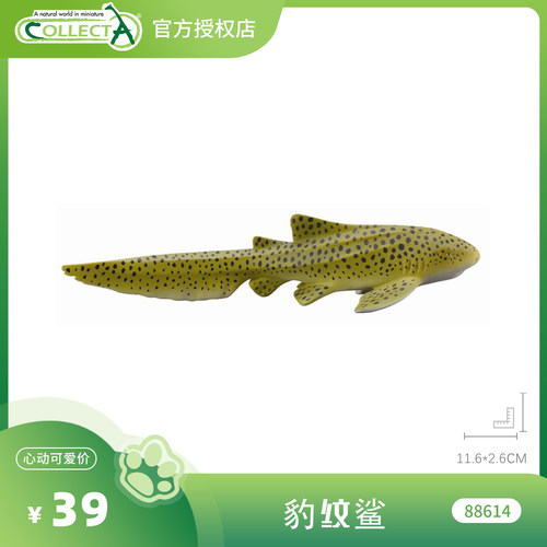【88614豹纹鲨】CollectA官方授权正版动物模型早教玩具