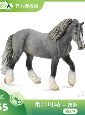 【88574希尔母马 - 灰色】CollectA官方授权正版动物模型早教玩具