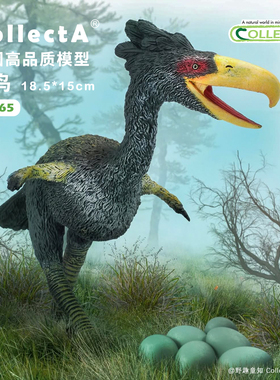 【88465恐鸟】CollectA动物模型儿童仿真玩具早教宝宝礼物窃鹤