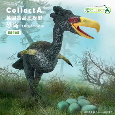 CollectA恐鸟动物模型玩具