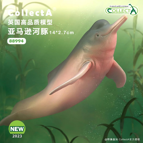 88994亚马逊河豚动物模型
