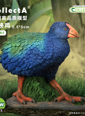 【80041南秧鸡】2025CollectA仿真动物模型玩具2025海洋动物