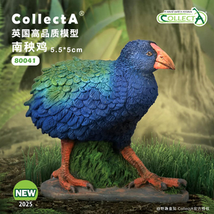 【80041南秧鸡】2025CollectA仿真动物模型玩具2025海洋动物