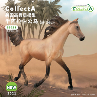 【88931半阿拉伯公马-鹿皮褐色】2025CollectA仿真动物模型玩具马
