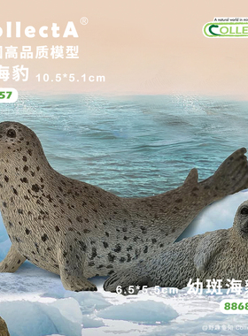 顺丰包邮【88658斑海豹】CollectA官方授权正版动物模型早教玩具