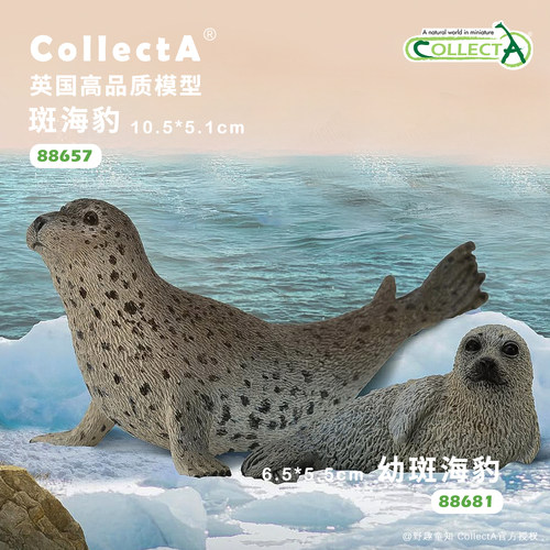 顺丰包邮【斑海豹】CollectA我你他官方授权正版动物模型早教玩具