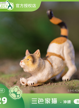 【88491三色家猫 - 伸腰】CollectA官方授权正版动物模型早教玩具