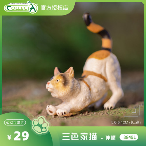 【88491三色家猫 - 伸腰】CollectA官方授权正版动物模型早教玩具