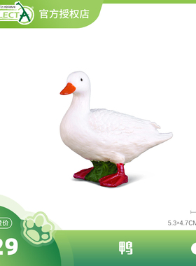 【鸭/小鸭群】CollectA官方授权正版动物模型