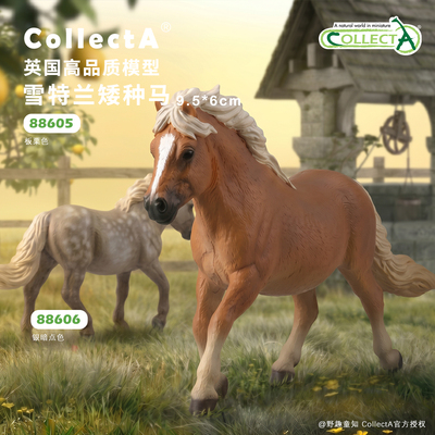 【顺丰包邮】雪特兰矮种马COLLECTA我你他骏马农场动物模型玩具
