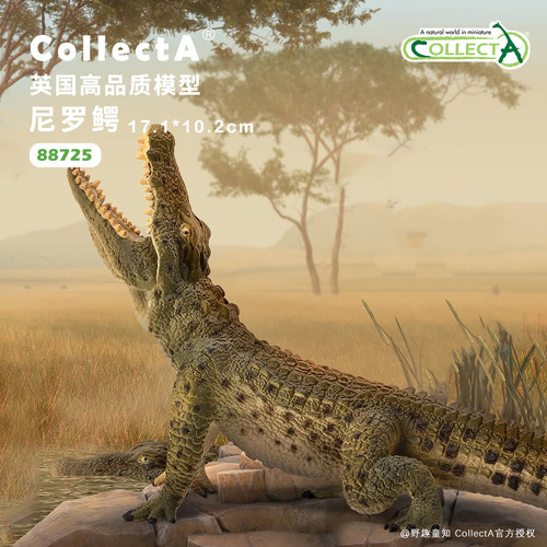CollectA尼罗鳄动物模型玩具