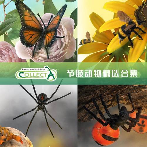 仿真昆虫模型2024款蚂蚁玩具