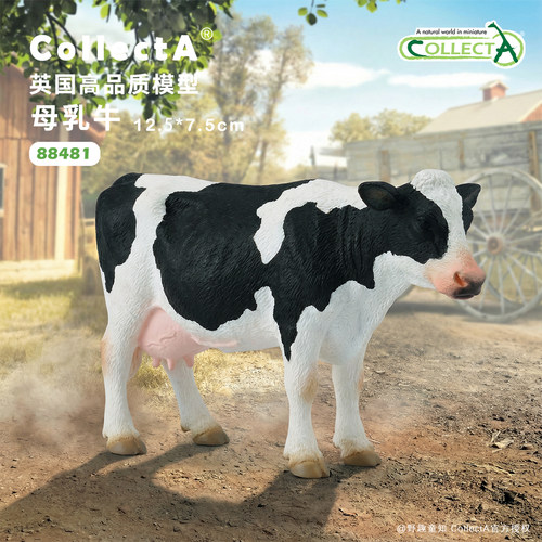 【奶牛乳牛】CollectA我你他官方授权正版动物模型早教玩具奶牛