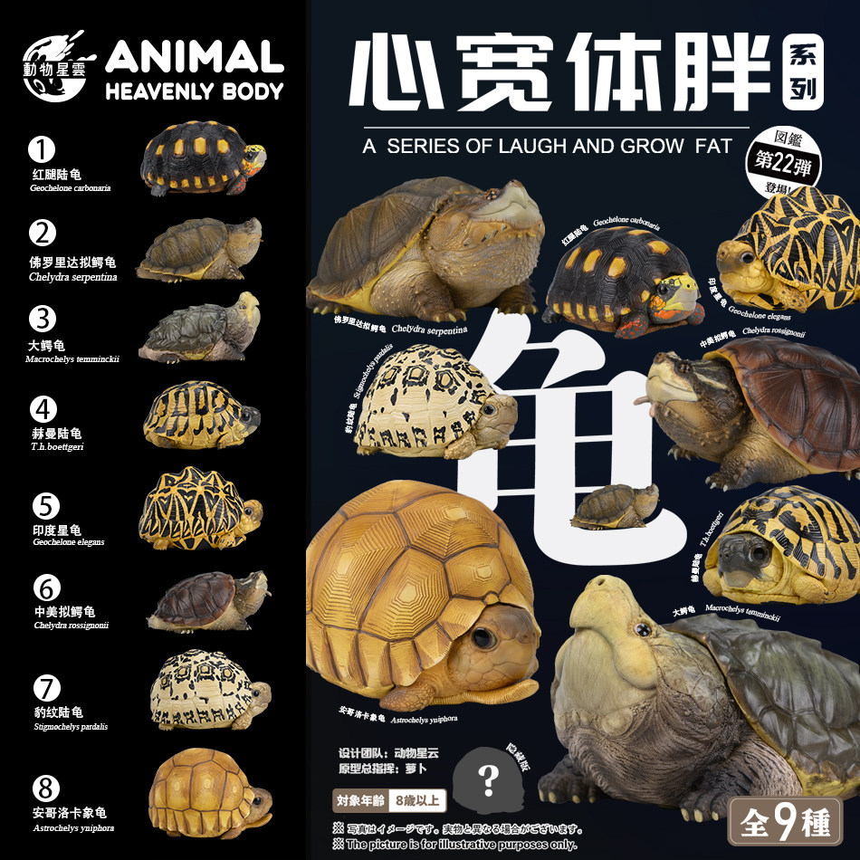【顺丰包邮】动物星球心宽体胖系列第22弹陆龟蛋龟高端爬宠手办