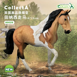 【80028田纳西走马】2025CollectA仿真动物模型玩具马玩具公仔