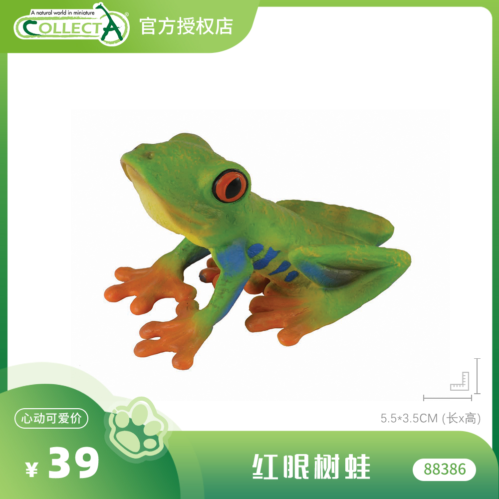 【88386红眼树蛙】CollectA官方授权正版动物模型早教玩具