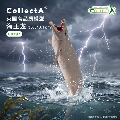 【88797龙王鲸】CollectA仿真动物模型玩具古兽公仔科普收藏海爬