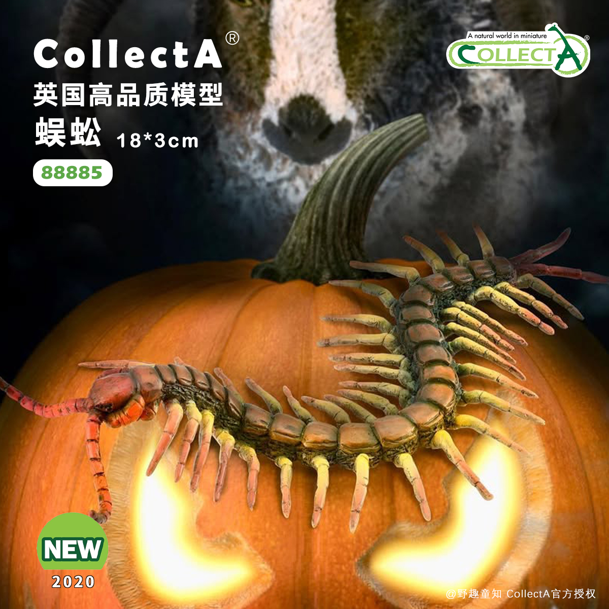 CollectA蜈蚣动物模型玩具