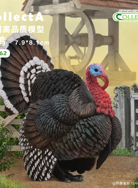 【88762火鸡】CollectA官方授权正版动物模型玩具