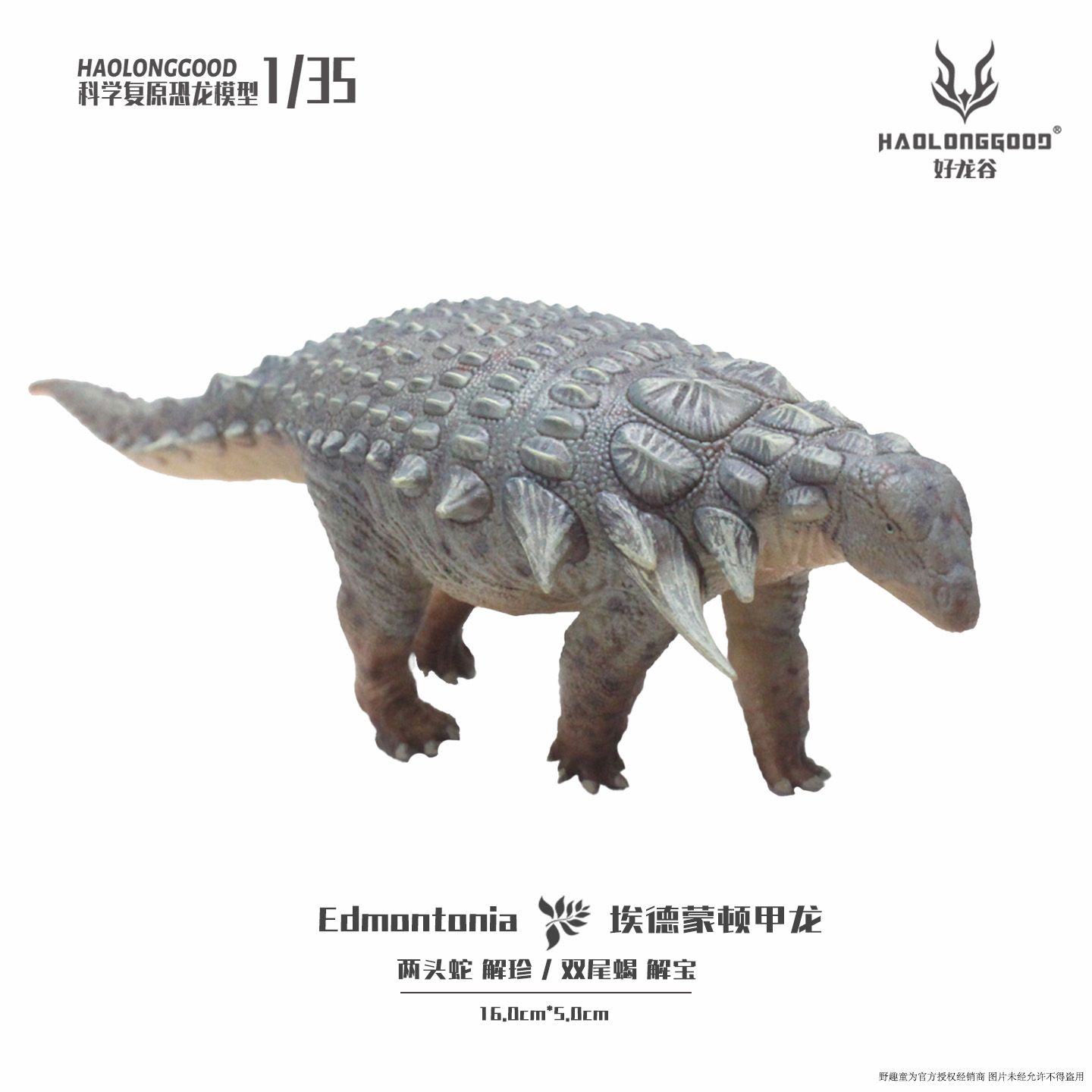 【顺丰包邮】好龙谷【埃德蒙顿甲龙1:35】侏罗纪恐龙模型礼物玩具