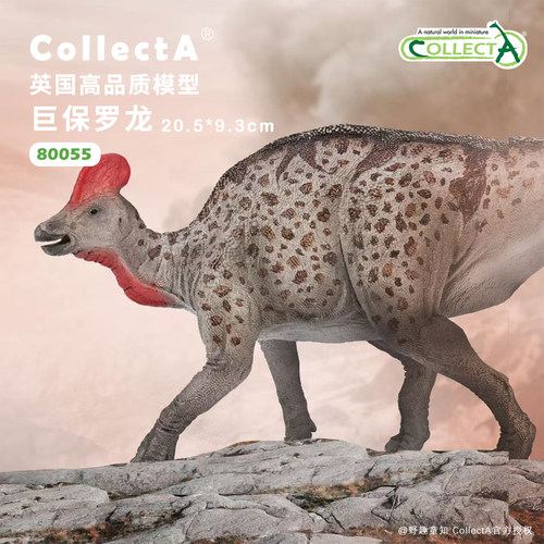 【顺丰包邮】巨保罗龙COLLECTA英国我你他侏罗纪恐龙模型玩具2026