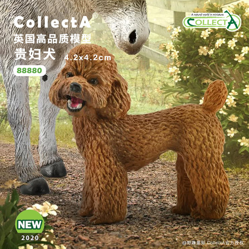 CollectA泰迪动物模型玩具