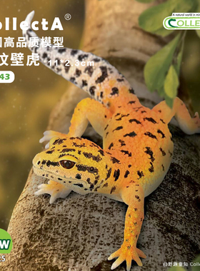 顺丰包邮【80043豹纹壁虎】CollectA仿真动物模型玩具守宫蜥蜴