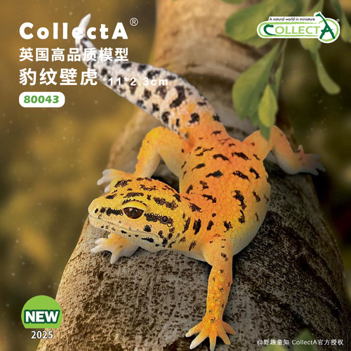顺丰包邮【80043豹纹壁虎】CollectA仿真动物模型玩具守宫蜥蜴