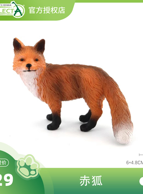 【88001赤狐】CollectA官方授权正版动物模型早教玩具