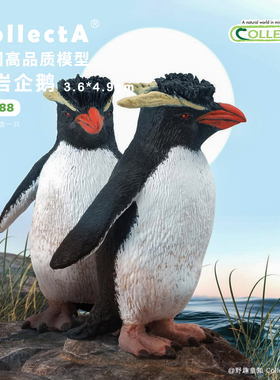【88588跳岩企鹅】CollectA我你他官方授权正版动物模型早教玩具