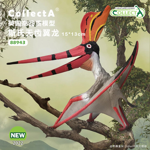CollectA斯氏无齿翼龙模型