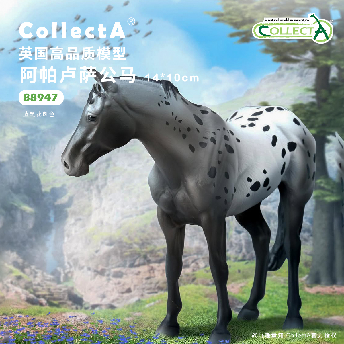 【88947阿帕卢萨公马】英国CollectA我你他仿真动物模型玩具