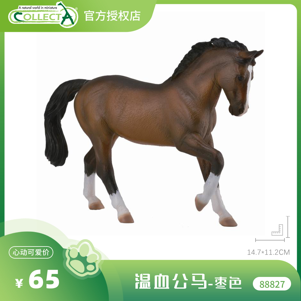 【88827温血公马-枣色】CollectA官方授权正版动物模型