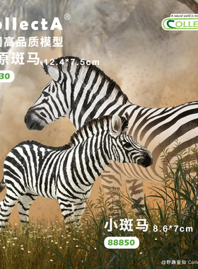 顺丰包邮【88830平原斑马】CollectA官方授权正版动物模型早教
