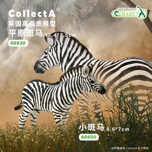 CollectA斑马动物模型玩具