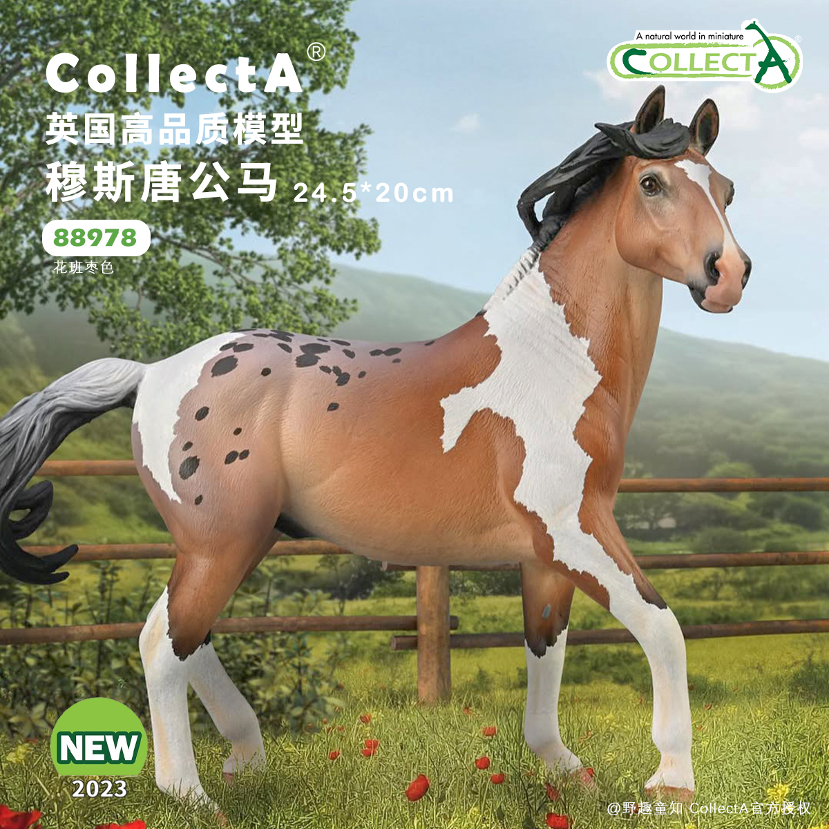 【88978穆斯唐公马】2025CollectA仿真动物模型玩具马玩具摆件