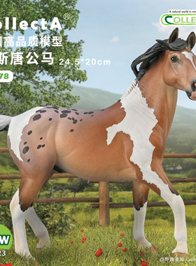 【88978穆斯唐公马】2025CollectA仿真动物模型玩具马玩具摆件
