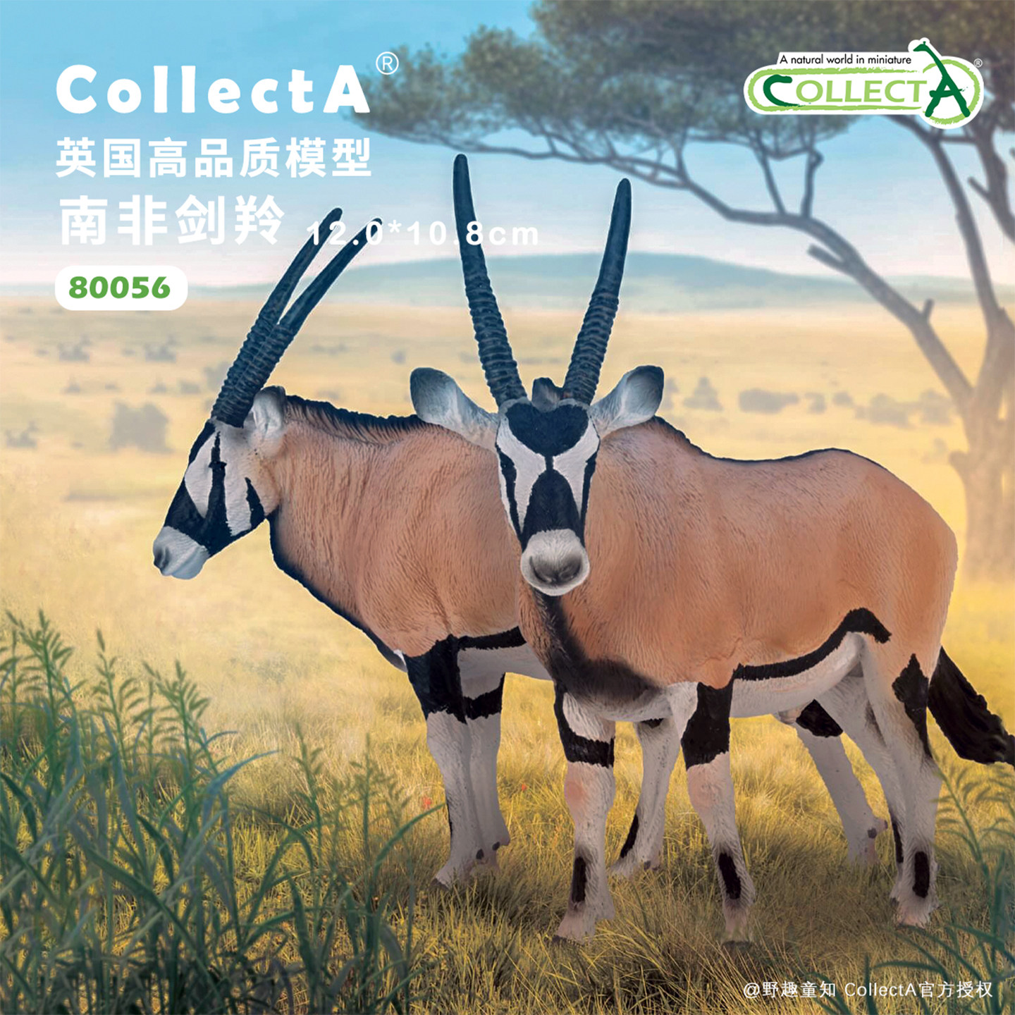 【顺丰包邮】南非剑羚COLLECTA英国我你他侏罗纪恐龙模型玩具2026