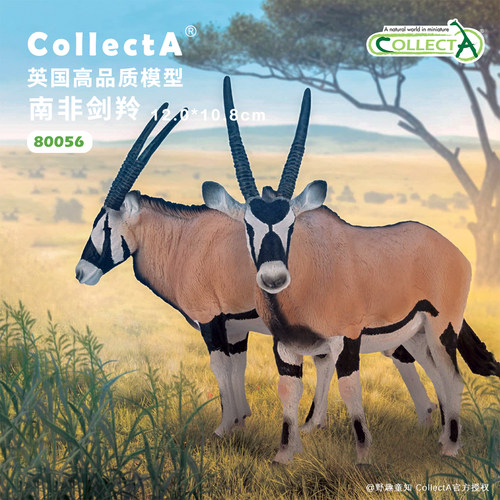 【顺丰包邮】南非剑羚COLLECTA英国我你他侏罗纪恐龙模型玩具2026