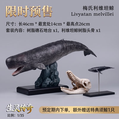 【预售】生灵传奇工作室梅氏利维坦鲸GK古鲸手办模型礼物