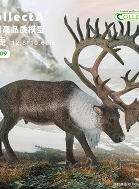 【88709北美驯鹿】CollectA官方授权正版动物模型早教玩具