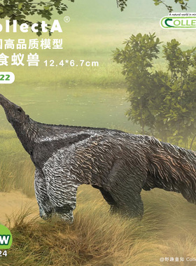 【80022大食蚁兽】CollectA官方授权正版动物模型早教玩具
