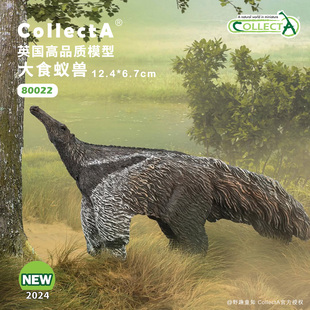 【80022大食蚁兽】CollectA官方授权正版动物模型早教玩具