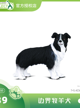 【88010边界牧羊犬】CollectA官方授权正版动物模型早教玩具