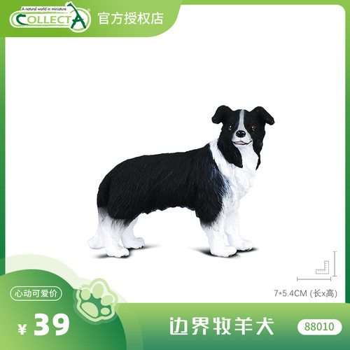 【88010边界牧羊犬】CollectA官方授权正版动物模型早教玩具