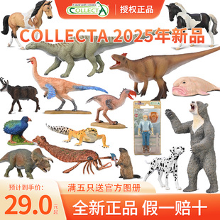 顺丰包邮 CollectA动物模型【2025年新品】短面熊豹纹守宫臆羚