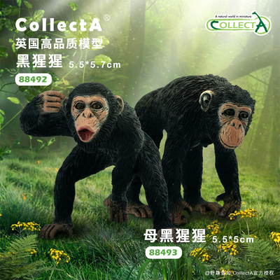 顺丰包邮【黑猩猩】CollectA官方授权正版动物模型早教玩具