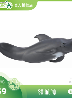 【88613领航鲸】CollectA官方授权正版动物模型早教玩具