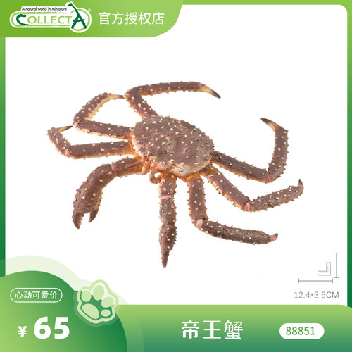 帝王蟹CollectA正版动物模型